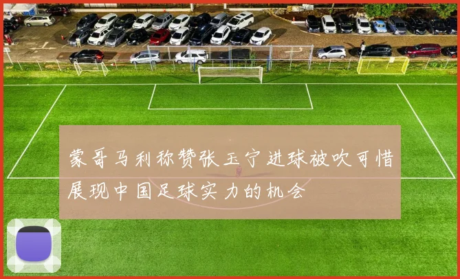 蒙哥马利称赞张玉宁进球被吹可惜展现中国足球实力的机会